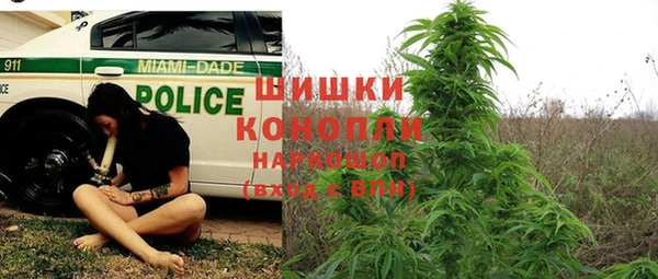 сатива Бугульма