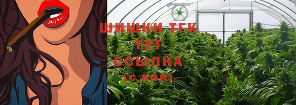 первитин Бородино