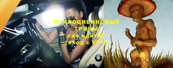 первитин Бородино