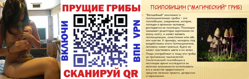 Галлюциногенные грибы ЛСД Калининец